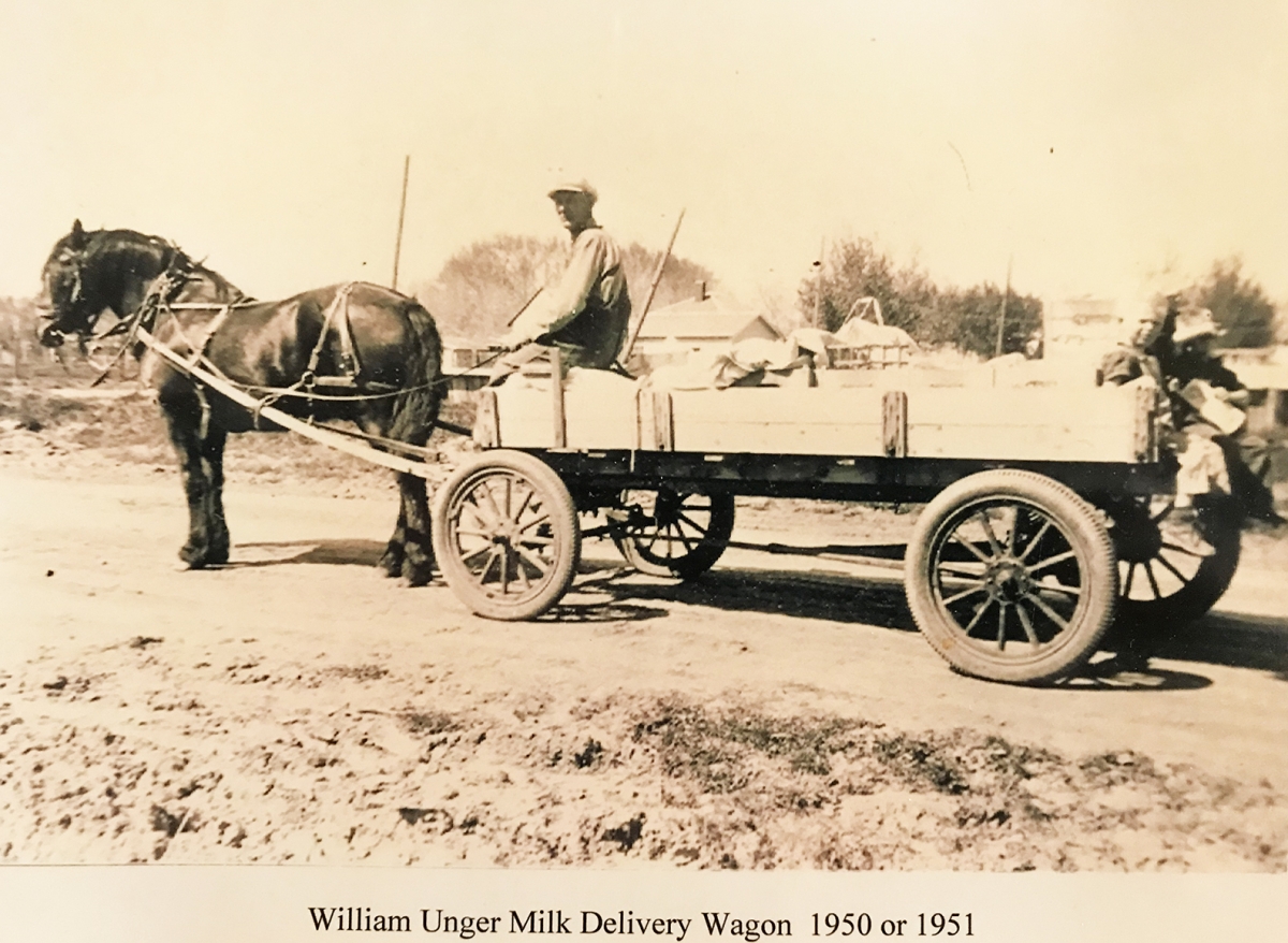 Horse and wagon