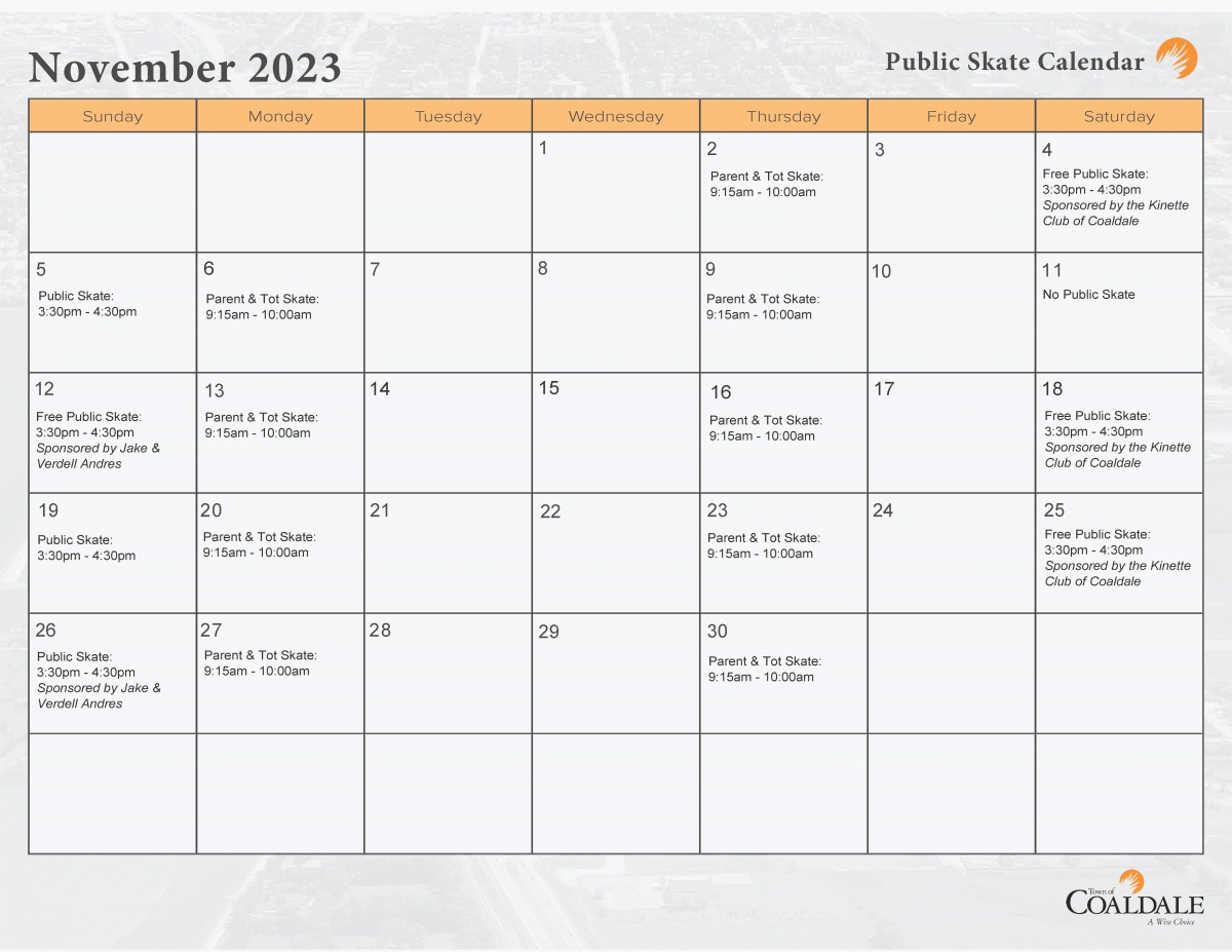 November Public Skate 