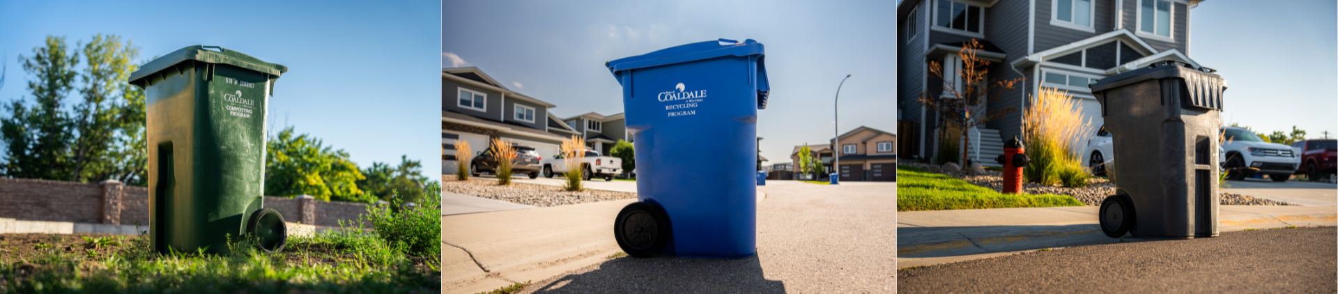 solid waste carts