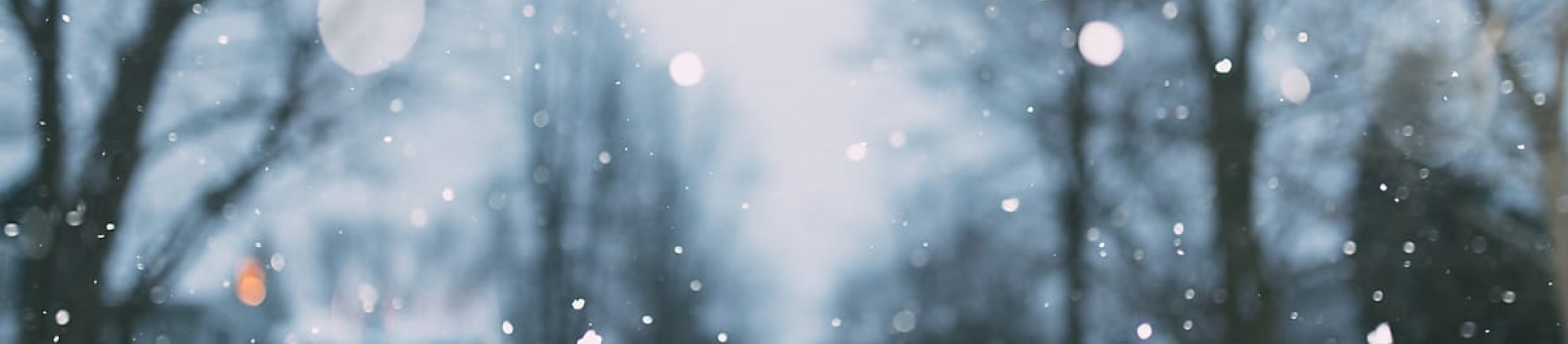 Snowfalling
