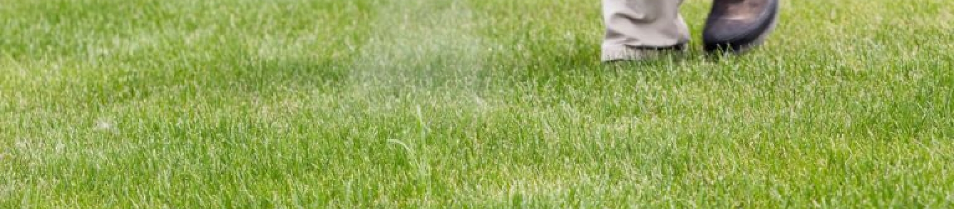 Weed Spraying