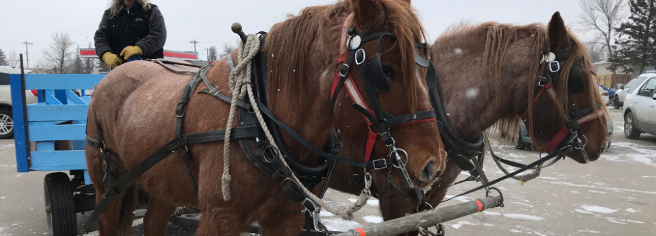 Coaldale Community Fest