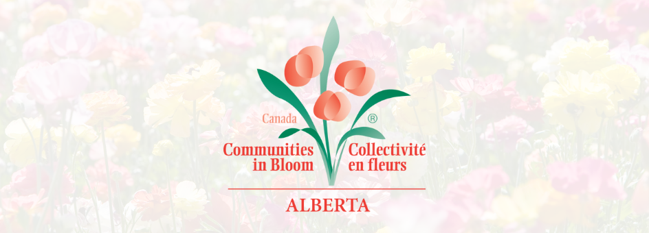 Communities in Bloom