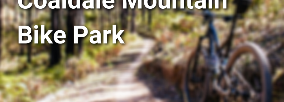 mountain bike trails in forest overlaid with the following text: Let's Connect, Coaldale Mountain Bike Park