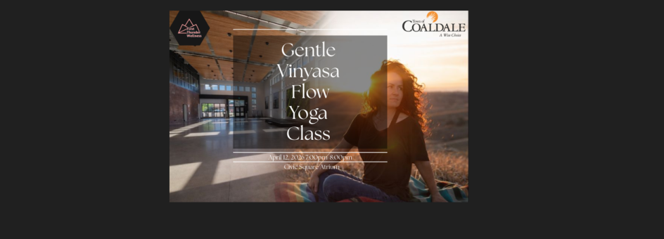 Vinyasa Flow Yoga Class 