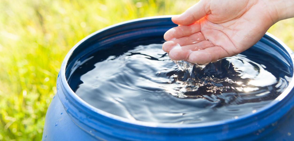 rain barrel