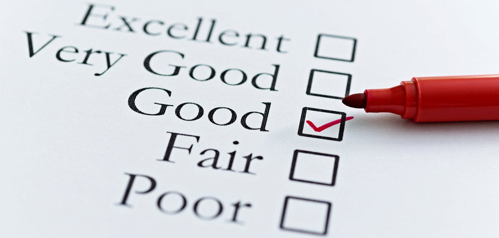 survey