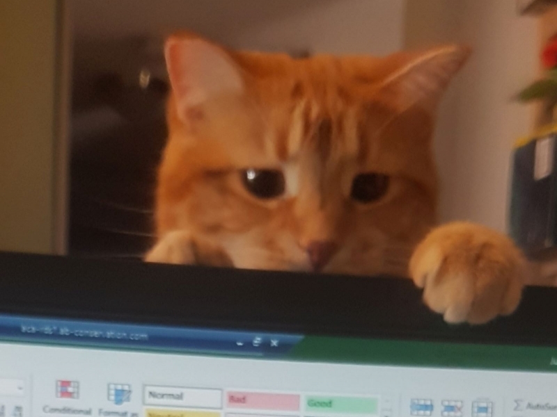 ""