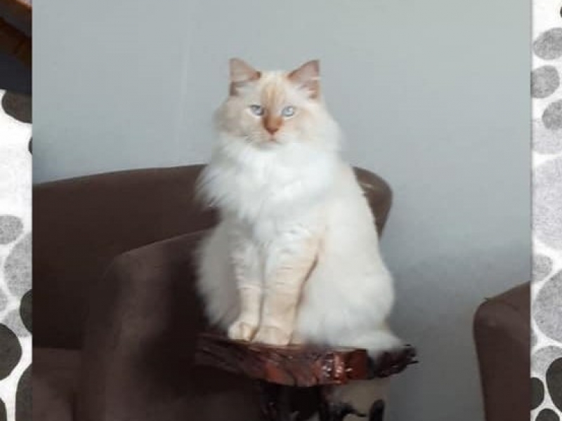 ""