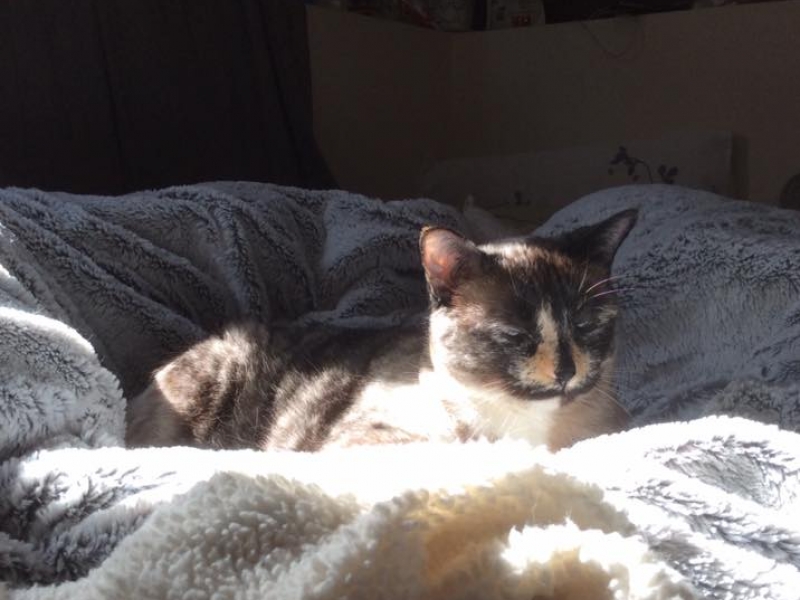 ""