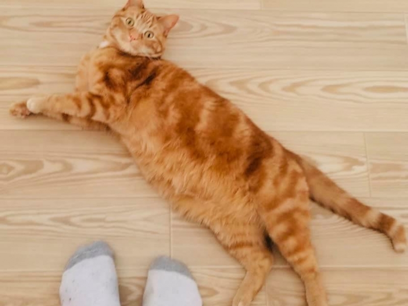 ""