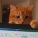 ""