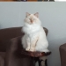 ""