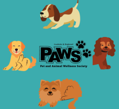 PAW